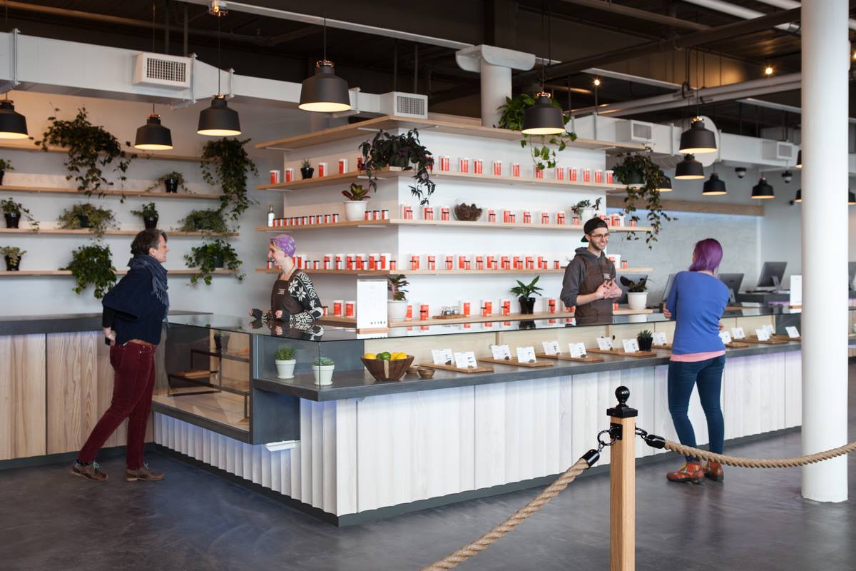 INSA Easthampton Dispensary Dispensary Genie