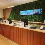 the counter at The Botanist Worcester Cannabis Dispensary