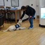 Service Dogs Welcome at Bloom Medicinals Germantown Dispensary - Credit: Bloom Medicinals