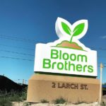 Sign at Bloom Brothers Pittsfield Dispensary - Credit: Bloom Brothers