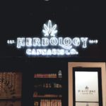 Sales Counter at Herbology's River Rouge Dispensary - Credit: Herbology Cannabis Co.