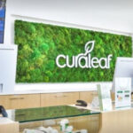 Sales Counter at Curaleaf's North Miami Dispensary - Credit: Curaleaf