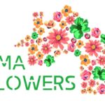 Logo for Uma Flowers' Waltham Dispensary - Credit: Uma Flowers
