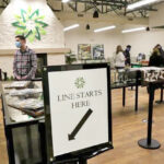 Product Displays and Staff at GreenStar Herbals' Maynard dispensary - Credit: Ann Ringwood of Wicked Local