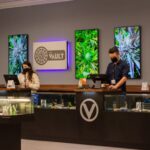 Sales Counter at The Vault's Webster Dispensary - Photo Credit: The Vault