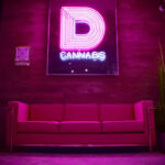 Wall Sign and Plush Seating Dazed Cannabis Holyoke Dispensary - Credit: Dazed Cannabis